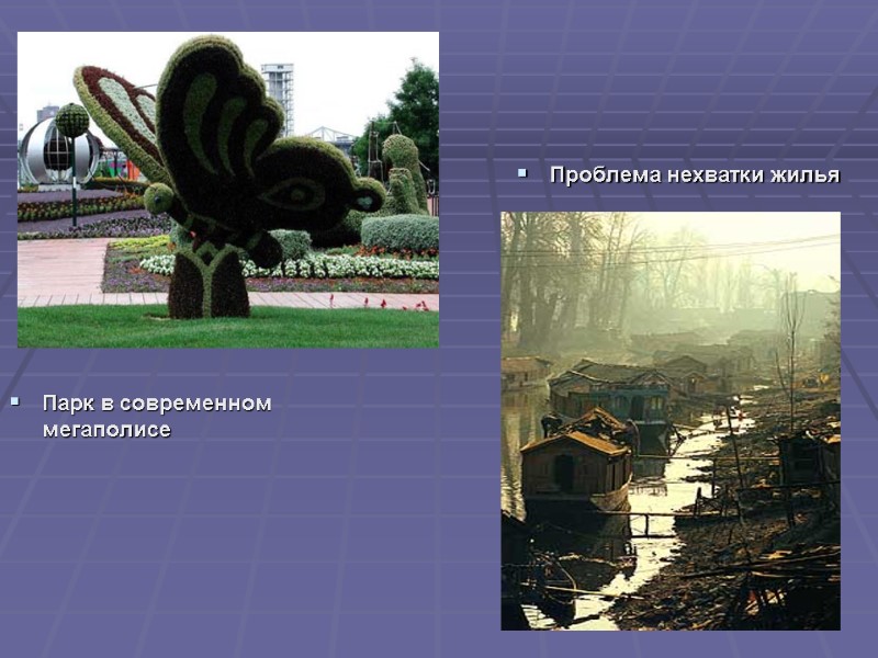 Парк в современном мегаполисе Проблема нехватки жилья